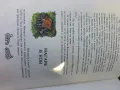 Сговорна дружина-Български народни приказки, снимка 8