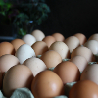 Домашни Яйца 15лв кора, снимка 6 - други­ - 36397255