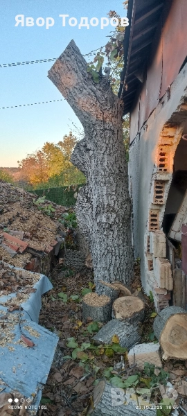 Орехов материал , снимка 1