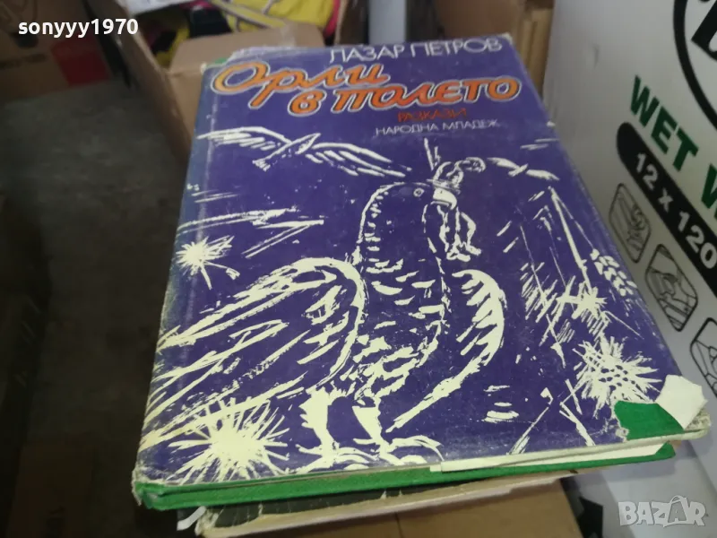 ОРЛИ В ПОЛЕТО 1402250818, снимка 1