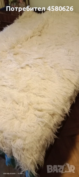 нов родопски бял губер, снимка 1