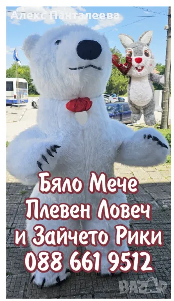 Бяло Мече и Зайче за вашата изненада Плевен Ловеч Троян, снимка 1