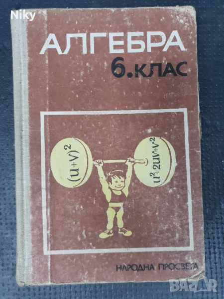 Алгебра за 6 клас , снимка 1