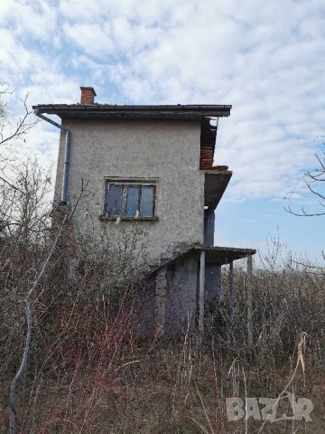 7  декара и 2 вили в Садовете гр.Лом, снимка 14 - Вили - 48773745