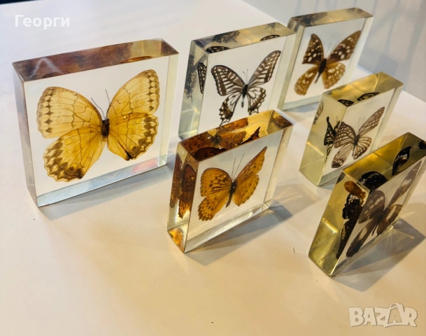 Пеперуди, снимка 2 - Колекции - 53656258