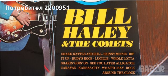 BILL HALEY, снимка 2 - Грамофонни плочи - 40006123