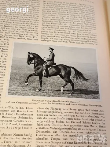 Албуми със снимки от Олимпиадата в Берлин 1936г   21/4, снимка 17 - Колекции - 49175481