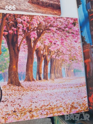 Картина, снимка 3 - Картини - 42147335