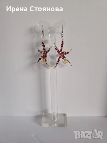 Обеци с естествен цвят на орхидея Brassia, снимка 4 - Обеци - 53662889