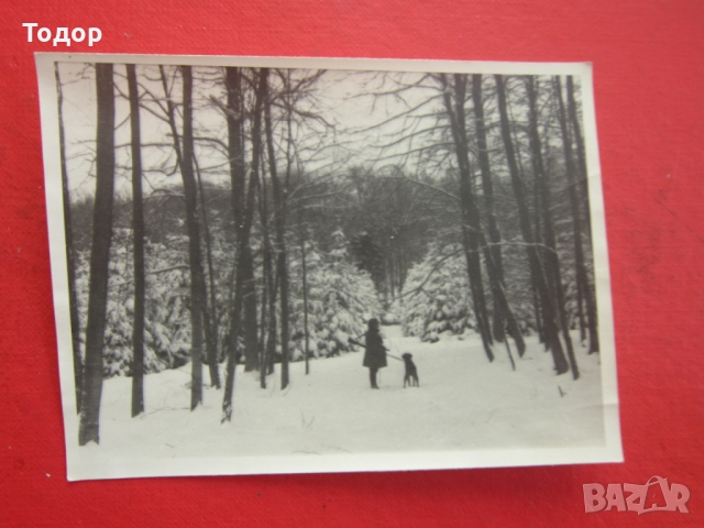 Стара снимка ловец 3 Райх Оригинал, снимка 3 - Колекции - 36067691