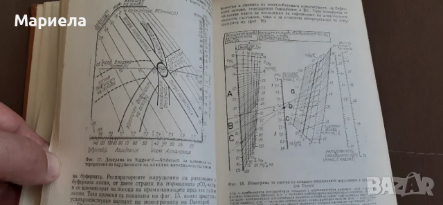 Локално киселинно състояние на организма и неговите нарушения  , снимка 4 - Специализирана литература - 50878596