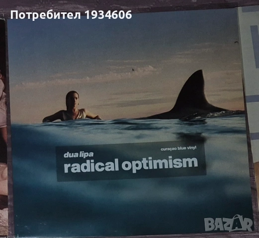 Грамофонни плочи - Addison Rae, Dua Lipa, Freddie Mercury и др., снимка 3 - Грамофонни плочи - 47199914