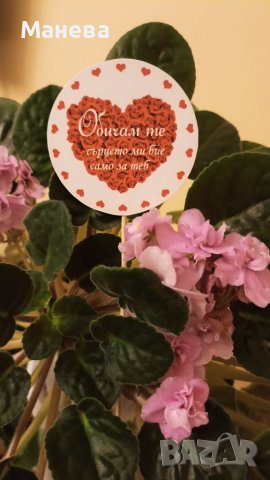 Послание на клечка , снимка 13 - Декорация за дома - 39305794