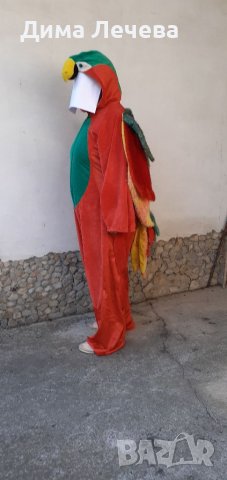 Карнавален костюм на папагал, снимка 3 - Други - 41498294
