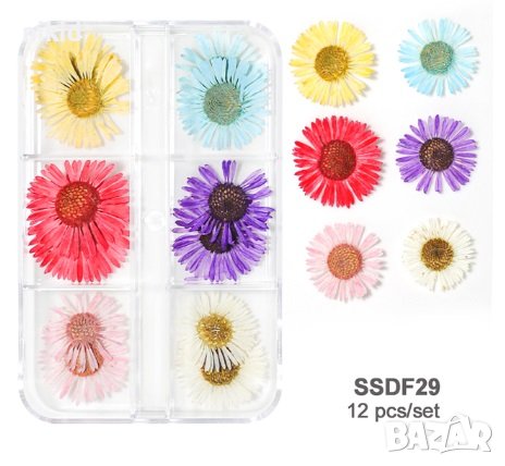 4 вида ситни сухи цветя маргаритки цветчета в кутия за декорация украса, снимка 3 - Изкуствени цветя - 41723170