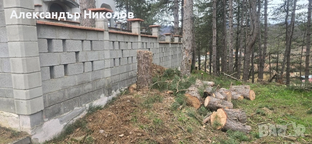 озеленяване рязане на високи дървета чистене на градини оформяне на жива плет , снимка 5 - Строителни работници - 53126101