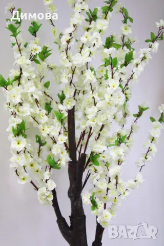 Дърво Ябълков цвят 160 см, снимка 4 - Други - 48761950