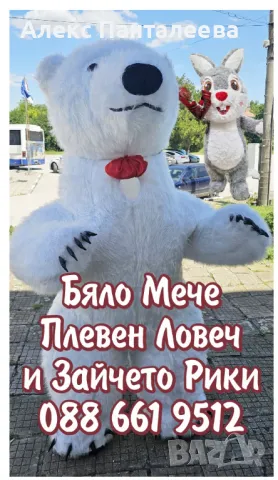 Бяло Мече и Зайче за вашата изненада Плевен Ловеч Троян