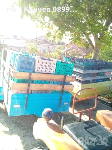 продавам грозде мерло и Каберне , снимка 10 - Домашни продукти - 56088041