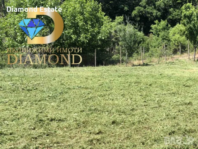 Едноетажна къща в село Ефрем, обл. Хасково, снимка 8 - Къщи - 55989696