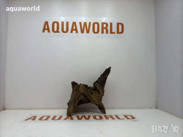 Африкански корен 9