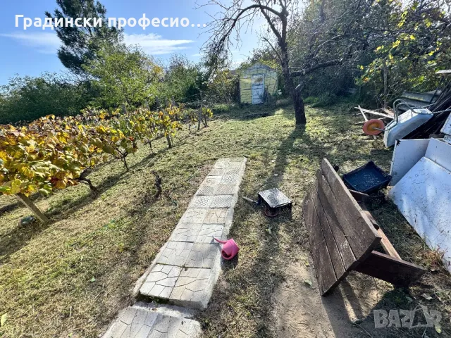Градинарски услуги КОСЕНЕ КАСТРЕНЕ Почистване на парцели ОЗЕЛЕНЯВАНЕ, снимка 7 - Други услуги - 47757090