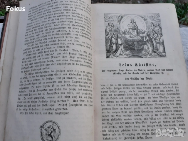 МНОГО СТАРА НЕМСКА БИБЛИЯ 1887 ГОДИНА, снимка 6 - Антикварни и старинни предмети - 53479194