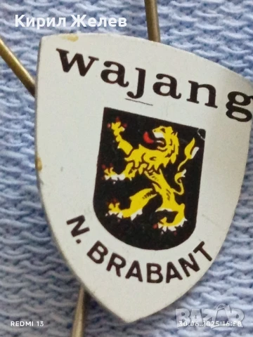 Лот значки 10 броя стари редки BELT,ZWAN,WAJANG за КОЛЕКЦИЯ ДЕКОРАЦИЯ 13724, снимка 8 - Колекции - 50850654