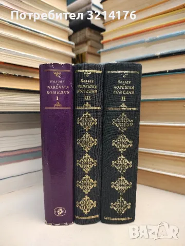 Обломов - Иван А. Гончаров, снимка 7 - Художествена литература - 49271513