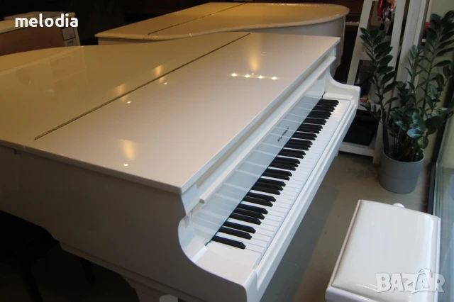 Нов роял W.HOFFMANN - T177 с дигитална свързаност C.Bechstein Connect, снимка 2 - Пиана - 50560845