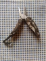 джобен multi tool TRUE, снимка 2