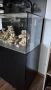 Аквариум Redsea Reefer 420 xl v1, снимка 5