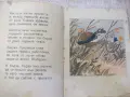 Книга "Веселите жабчета - Иордан Стубел" - 20 стр., снимка 4