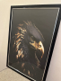 Постер, плакат, картина “Златен орел”