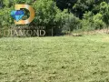 Едноетажна къща в село Ефрем, обл. Хасково, снимка 8