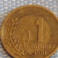 Две монети 1 стотинка 1951г. България перфектно състояние за КОЛЕКЦИОНЕРИ 39538, снимка 2 - Нумизматика и бонистика - 44431133