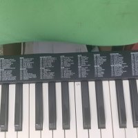 PEARL Diffusion PKB M1 490 Midi Keyboard - професионална миди клавиатура със звуци, снимка 7 - Синтезатори - 34343623