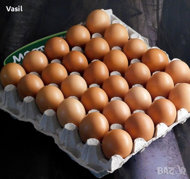 Домашни яйца от свободно отглеждани кокошки на село, снимка 1