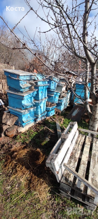 Кошери, снимка 1