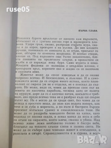 Книга "Залезът - Константин Кюлюмов" - 232 стр., снимка 2 - Художествена литература - 55944203