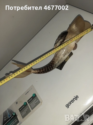 риба от истински рог, снимка 5 - Антикварни и старинни предмети - 53517688