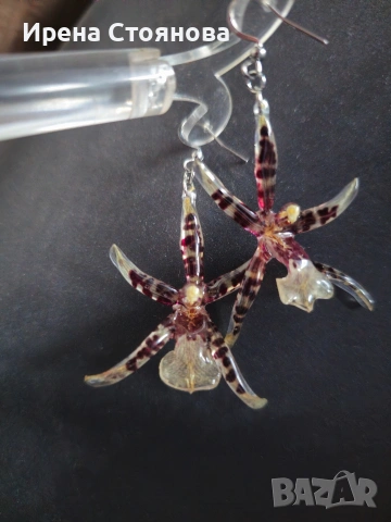 Обеци с естествен цвят на орхидея Brassia, снимка 13 - Обеци - 53662889