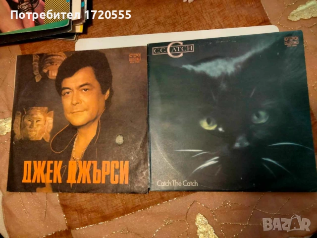 Винилови грамофонни плочи, снимка 11 - Грамофонни плочи - 53306720