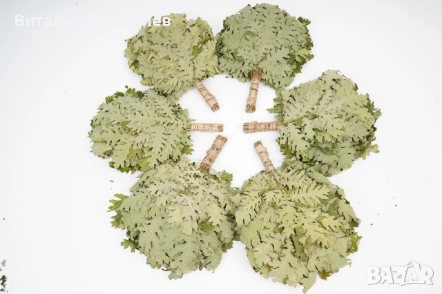 Метлички за сауна дъб/бреза. Веники для бани дуб/берёза., снимка 12 - Други стоки за дома - 52229107