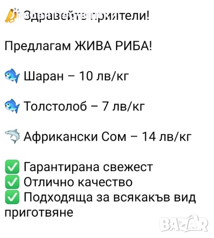 Продавам ЖИВА РИБА на разнос за Първомайци, Горна Оряховица, Лясковец и Велико Търново , снимка 2 - Други животни - 52394524