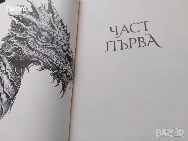 Книга Железен пламък от Ребека Ярос, снимка 7 - Художествена литература - 56188579