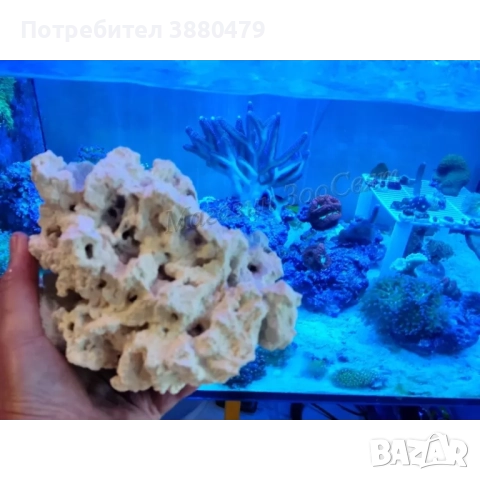 камък за аквариум