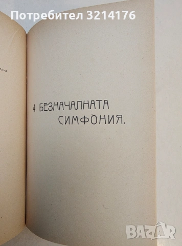 Литературни сборници; Южни цветове; Сняг. Песни на песните. Книга 1-2 – Т. В. Траяновъ , снимка 13 - Специализирана литература - 53621396