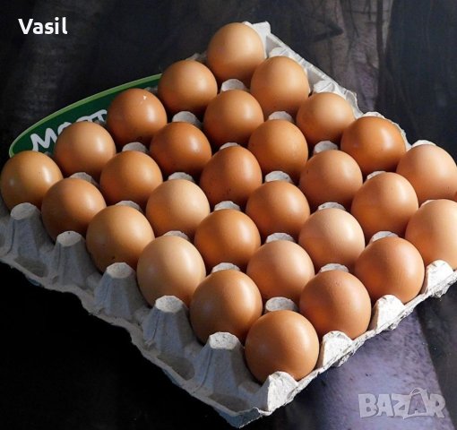 Домашни яйца от свободно отглеждани кокошки на село