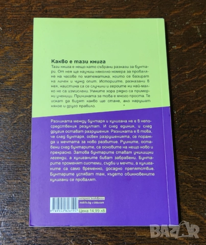 Наръчник на бунтаря за проваляне на часа по математика, снимка 2 - Художествена литература - 52455910